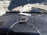 4S4BTADC9P3****** Salvage 2023 Subaru Outback in Virginia State