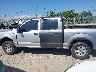 1FTEW1EP3GF****** Salvage 2016 Ford F-150