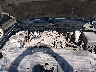1GNFK13018J****** Repairable 2008 Chevrolet Tahoe in Chicago South
