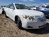 4T1BE46K19U****** Salvage and Wrecked 2009 Toyota Camry in Austin