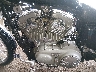 1HD4CJM135K****** Used 2005 Harley-Davidson Sportster 883 Custom in Rec Rides Online Exclusive