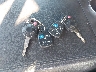 1FMJU1K55BE****** Salvage 2011 Ford Expedition in Texas State