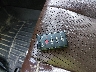 4S4BRDSC3D2****** Salvage 2013 Subaru Outback in Virginia State