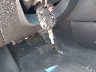 3FADP0L38AR****** Salvamento 2010 Ford Fusion Hybrid en Estado de Texas