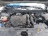 5NTJEDAF9PH****** Repairable 2023 Hyundai Santa Cruz in Tampa North