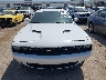 2C3CDZAG2KH****** Destrozados 2019 Dodge Challenger en Estado de Texas
