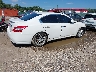 1N4AA51E79C****** Salvage and Wrecked 2009 Nissan Maxima in Maryland State