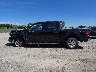 1FTFW1E5XMF****** Salvamento 2021 Ford F-150