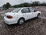 1G1ND52F84M****** Salvage and Wrecked 2004 Chevrolet Malibu in Ohio State