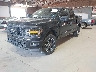 1FTFW2L53RK****** Usados y Reparables 2024 Ford F-150 en Amarillo