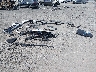 JM3KJEHC3S1****** Wrecked 2025 Mazda CX-70 in Arkansas State