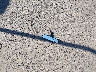 3MZBN1U71HM****** Wrecked 2017 Mazda 3 in Connecticut State