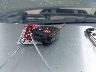 3TMCZ5AN9KM****** Salvamento 2019 Toyota Tacoma en Estado de Ohio
