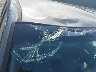 5FNYF3H40CB****** Salvamento y Reparables 2012 Honda Pilot en Estado de Carolina del Norte