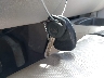 1GCEC29039Z****** Salvage 2009 Chevrolet Silverado 1500 in Texas State
