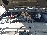 1GKFK03219J****** Reparables 2009 GMC Yukon en Milwaukee