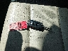 WVGSV7AX7HK****** Salvamento 2017 Volkswagen Tiguan en Estado de Nueva York