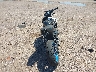 JS1EM11BXR7****** Salvamento y Reparables 2024 Suzuki Gsx800 en Estado de Arizona