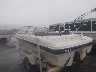 5KTBS19194F****** Salvamento y Reparables 2004 Bayliner 185 en Little Rock