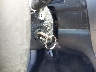 5J6RE48399L****** Salvamento 2009 Honda CR-V en Estado de Nueva York