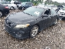 4T1BF3EK2BU****** Usados y Reparables 2011 Toyota Camry en Long Island