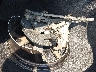 2C3CDXCT6NH****** Salvage and Wrecked 2022 Dodge Charger in Grenada