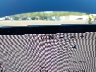 5YJYGAEE0MF****** Repairable 2021 Tesla Model Y