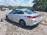 5XXGT4L3XKG****** Salvamento y Reparables 2019 Kia Optima en Bridgeport
