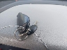 1D7RB1GT8AS****** Salvamento 2010 Dodge Ram 1500 en Estado de Luisiana