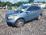 JHLRE48737C****** Used and Repairable 2007 Honda CR-V in Greenville