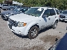 1FMCU03148K****** Usados y Reparables 2008 Ford Escape en Dallas-Fort Worth