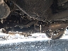 1HGCD5658TA****** Destrozados 1996 Honda Accord