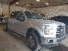 1FTEW1EF5GF****** Salvamento y Destrozados 2016 Ford F-150 en Flint