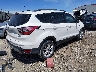1FMCU0GD0HU****** Salvamento y Destrozados 2017 Ford Escape en Estado de Arkansas