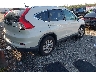 5J6RM4H74GL****** Salvage and Wrecked 2016 Honda CR-V in Florida State