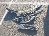 2HGFB2F57FH****** Wrecked 2015 Honda Civic in California State