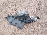 1GKKVSKD4HJ****** Destrozados 2017 GMC Acadia en Estado de Wisconsin