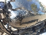 1HD1BVJ14MB****** Repairable 2021 Harley-Davidson Softail Standard in New Jersey State