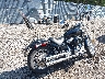 1HD1BVJ14MB****** Salvage and Wrecked 2021 Harley-Davidson Softail Standard in New Jersey State