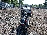 1HD1BVJ14MB****** Salvage and Repairable 2021 Harley-Davidson Softail Standard in New Jersey State