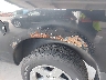 1D3HV18P99S****** Salvage and Repairable 2009 Dodge Ram 1500 in Florida State