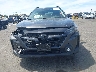 4S4BTACC9P3****** Destrozados 2023 Subaru Outback en Estado de California