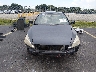 1HGCM65567A****** Destrozados 2007 Honda Accord en Estado de Florida