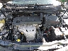4T1BE46K59U****** Reparables 2009 Toyota Camry en Albuquerque