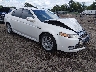 19UUA66248A****** Salvamento y Destrozados 2008 Acura TL en Columbus