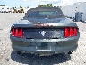 1FATP8EM4F5****** Usados 2015 Ford Mustang