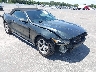1FATP8EM4F5****** Salvamento y Destrozados 2015 Ford Mustang en Clearwater