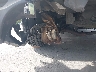 4S4WMALD2L3****** Repairable 2020 Subaru Ascent