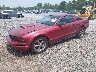1ZVFT80N655****** Usados y Reparables 2005 Ford Mustang en Gulf Coast