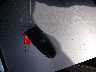 1FAHP2F85DG****** Salvage 2013 Ford Taurus in Utah State